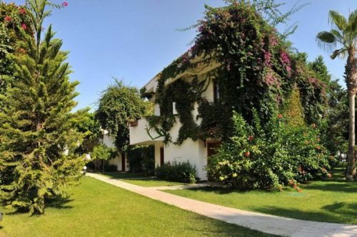 Фото зеленая территория Club Boran Mare Beach 5*: рейтинг лучших отелей курорта Кемер, Турция от турагентства SeredinaLeta